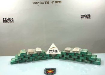 Quase meio milhão em drogas é apreendido no bairro Vila Bretas em Valadares