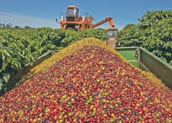 Exportações mineiras para os EUA caem 49,5%