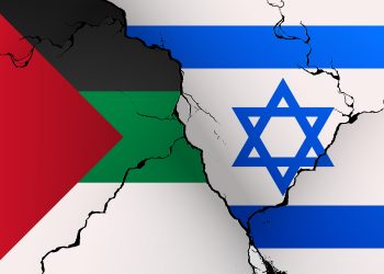 Quem são os 13 brasileiros da flotilha que estão detidos em Israel