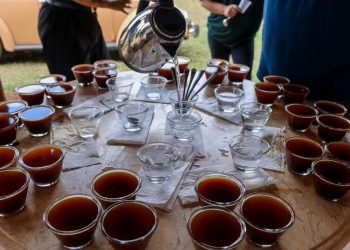 Concurso vai premiar melhores cafés do Vale do Jequitinhonha