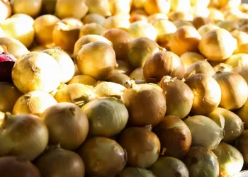 Inflação acumulada dos alimentos é a menor desde setembro de 2024