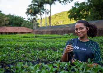 Instituto Terra abre inscrições para curso gratuito de restauração ecossistêmica