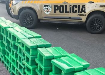 PM apreende 850 kg de maconha escondidos em carga de repolho que seria levada para Timóteo