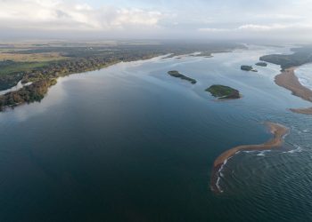 Samarco repassa R$ 278 milhões para monitoramento da biodiversidade aquática na Bacia do Rio Doce