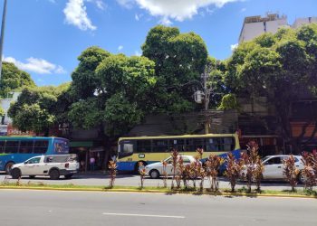 Finados: Prefeitura disponibiliza itinerário especial de transporte coletivo