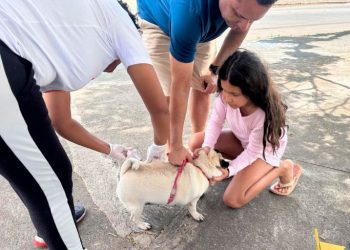 Campanha de vacinação antirrábica em Timóteo supera metas e segue até 11 de outubro