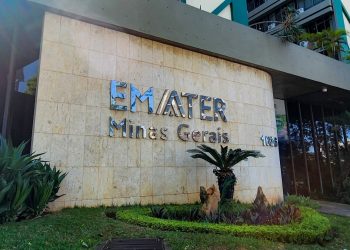Emater-MG abre 105 vagas em novo concurso autorizado pelo Governo de Minas