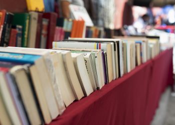 Feira de Livro promove encontro entre leitores e autores valadarenses
