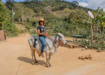 Dia da Mulher Rural destaca protagonismo feminino no campo