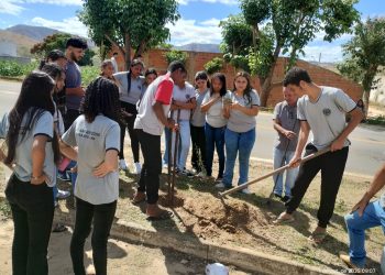 Força-tarefa distribui 200 mudas em 15 municípios do Vale do Rio Doce
