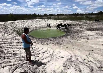 Agro sofre prejuízos de R$ 875 mi