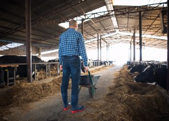 Vozes da pecuária: um chamado que ecoa para as futuras gerações