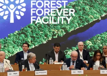 Fundo para florestas tropicais atinge aporte de US$ 5,5 bilhões
