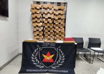 Polícia Militar apreende 101 barras de maconha em Coronel Fabriciano e Ipaba
