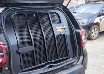 PCMG prende em Nanuque pastor evangélico condenado por estupro de vulnerável