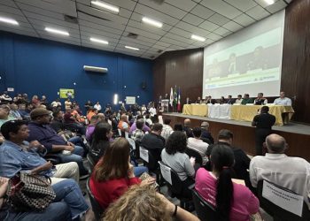 Audiência debate segurança pública em Timóteo