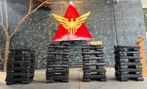 Operação policial resulta na apreensão de 101 barras de maconha em Manhuaçu