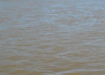 Desaparecimento de dois jovens no Rio Doce mobiliza Bombeiros em Belo Oriente