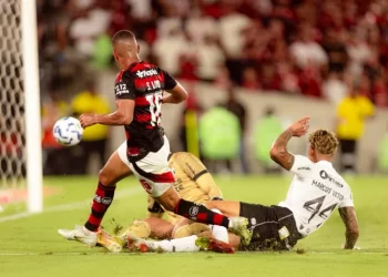 Flamengo vence o Ceará e conquista o Brasileirão pela nona vez em sua história