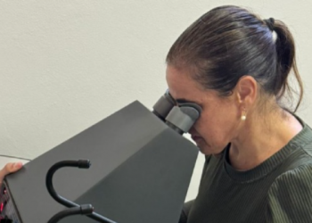 Exames para obtenção da CNH têm valores reduzidos em Minas a partir desta quarta