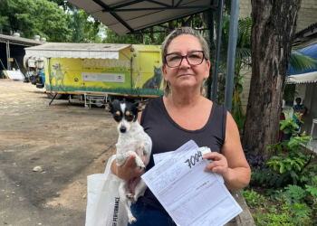 Ipatinga ultrapassa 7 mil castrações de cães e gatos