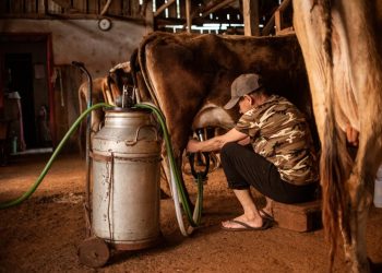 Setor leiteiro conquista avanço em processo antidumping