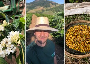 Sítio Cascalho: histórias de superação na cafeicultura