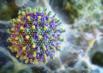 Nipah: saiba mais sobre o vírus que preocupa a Ásia