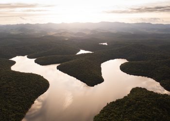 Parque Estadual do Rio Doce alcança marco histórico e supera recorde de visitação