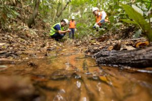 Samarco projeta conclusão de etapas do Novo Acordo do Rio Doce até 2026