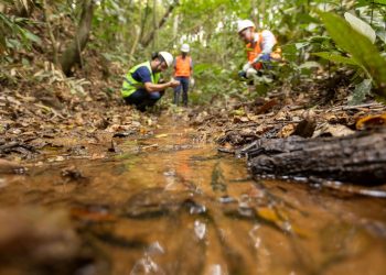 Samarco projeta conclusão de etapas do Novo Acordo do Rio Doce até 2026