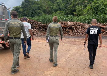 PCMG participa de operação para apurar mortandade de peixes