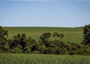 Funrural, qual a melhor opção?