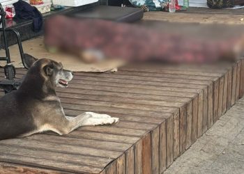 Homem que vivia em situação de rua é encontrado morto no bairro Morada do Acampamento