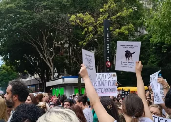 Caso Orelha: polícia pede internação de adolescente envolvido no crime