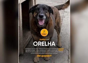 O caso Orelha: quando o silêncio, a pressão e as provas revelam o papel político dos condomínios