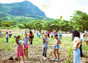 Natureza: Parque Municipal é roteiro de Carnaval em Valadares