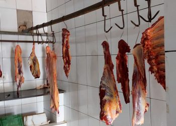 Procon apreende cerca de duas toneladas de carne imprópria no Vale do Jequitinhonha