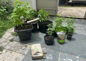 PM apreende pés de maconha e pasta base de cocaína em casa no bairro de Lourdes