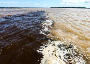 Helicóptero e sonares reforçam buscas por vítimas de naufrágio no Amazonas