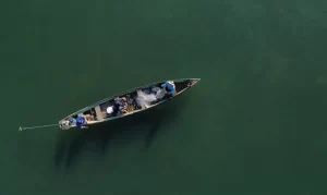 Mais de 76 mil licenças de pescadores são canceladas pelo Ministério da Pesca e Aquicultura