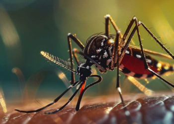 Ipatinga intensifica vacinação contra Febre Amarela antes do Carnaval