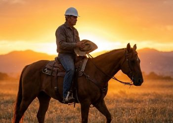 Produtor: não há lei que obrigue o uso de capacete no lugar do chapéu