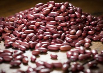 Produção de feijão cresce em Minas e sustenta liderança no Sudeste