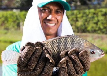 Piscicultura mineira preparada para a Semana Santa