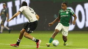 Palmeiras derrota Botafogo e assume liderança do Brasileirão