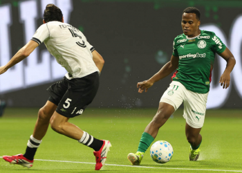 Palmeiras derrota Botafogo e assume liderança do Brasileirão