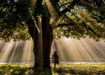 Quem está decidindo por você?
