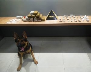 Polícia Militar apreende grande quantidade de drogas em Manhuaçu