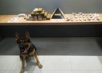 Polícia Militar apreende grande quantidade de drogas em Manhuaçu